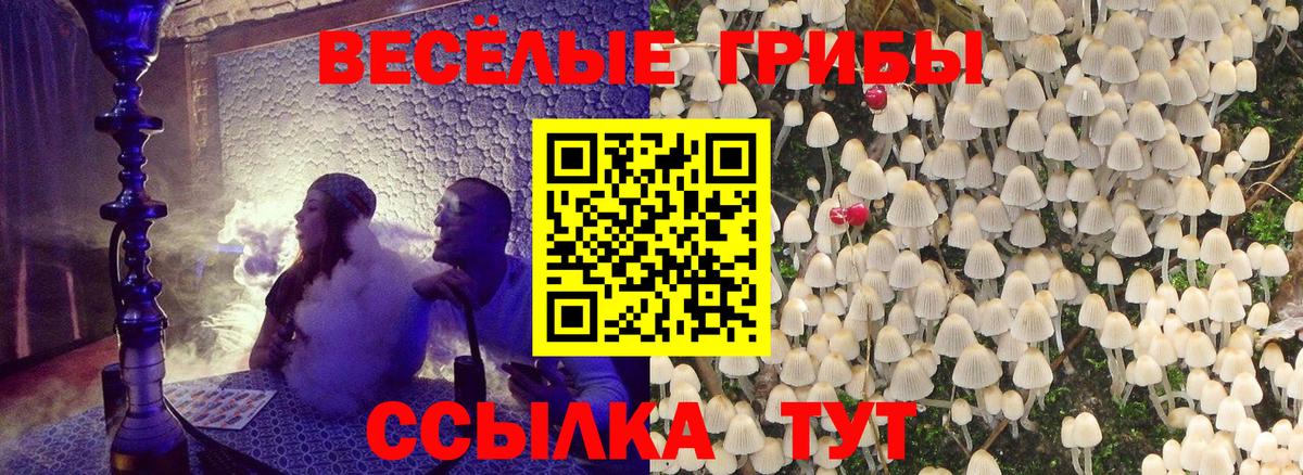 Псилоцибиновые грибы ЛСД Владивосток